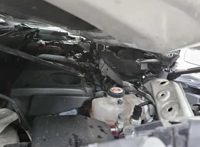 2019 Toyota RAV4 VIN: