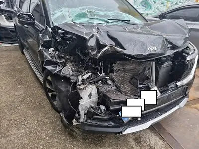2021 Kia Carnival KNANE81BBMS045451 VIN:KNANE81BBMS045451