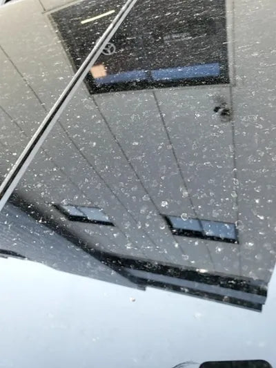 2021 Mercedes-Benz B 250 W1N4M4HB7MW082890 VIN:W1N4M4HB7MW082890