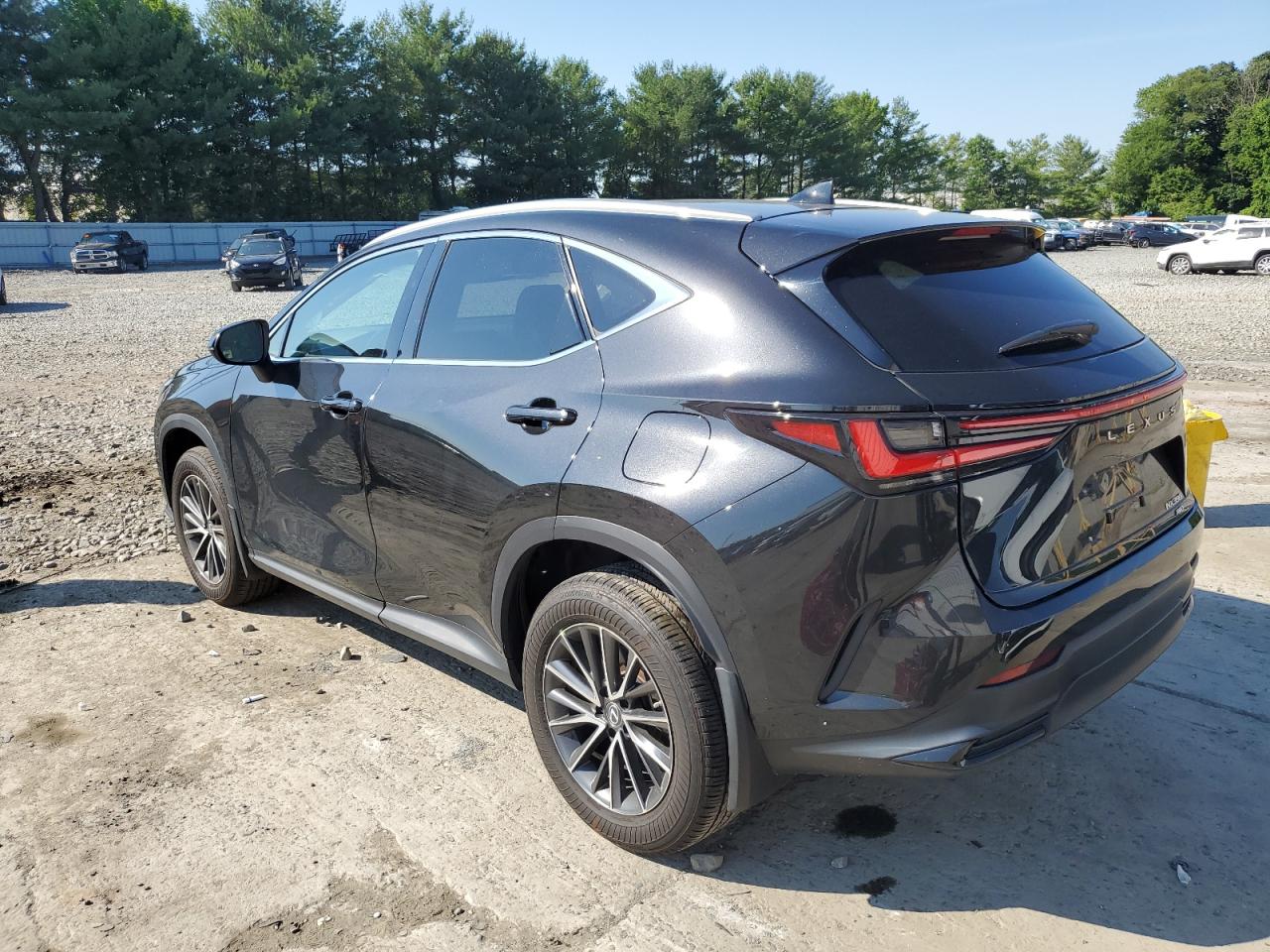 2022 LEXUS NX 350 VIN:2T2AGCEZ9NC013069