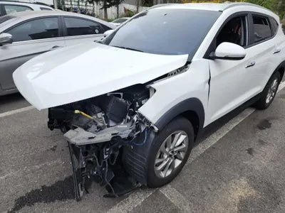 2016 Hyundai Tucson KMHJ281ABGU004515 VIN:KMHJ281ABGU004515