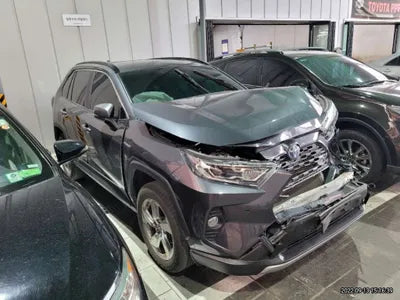 2019 Toyota RAV4 JTMDWRFV4KD030718 VIN:JTMDWRFV4KD030718