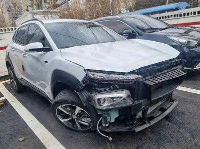2019 Hyundai Kona KMHK7815GKU410623 VIN:KMHK7815GKU410623