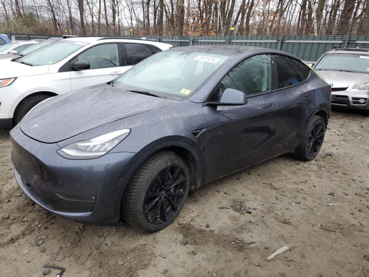 2022 TESLA MODEL Y  VIN:7SAYGDEE7NF429464