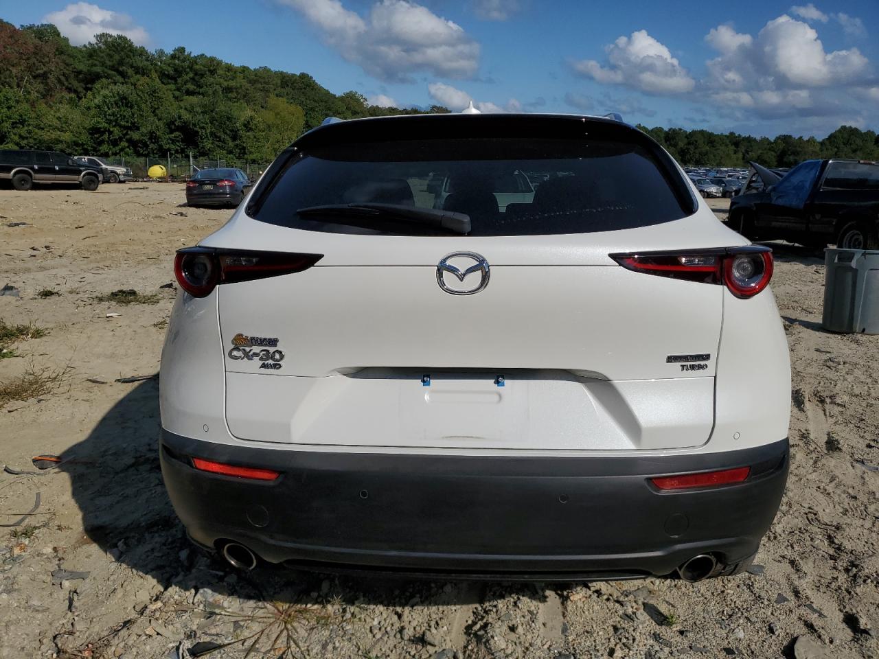 2023 MAZDA CX-30 PREMIUM PLUS VIN:3MVDMBEYXPM503685