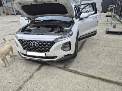 2019 Hyundai Santa FE KMHS281BBLU228209 VIN:KMHS281BBLU228209