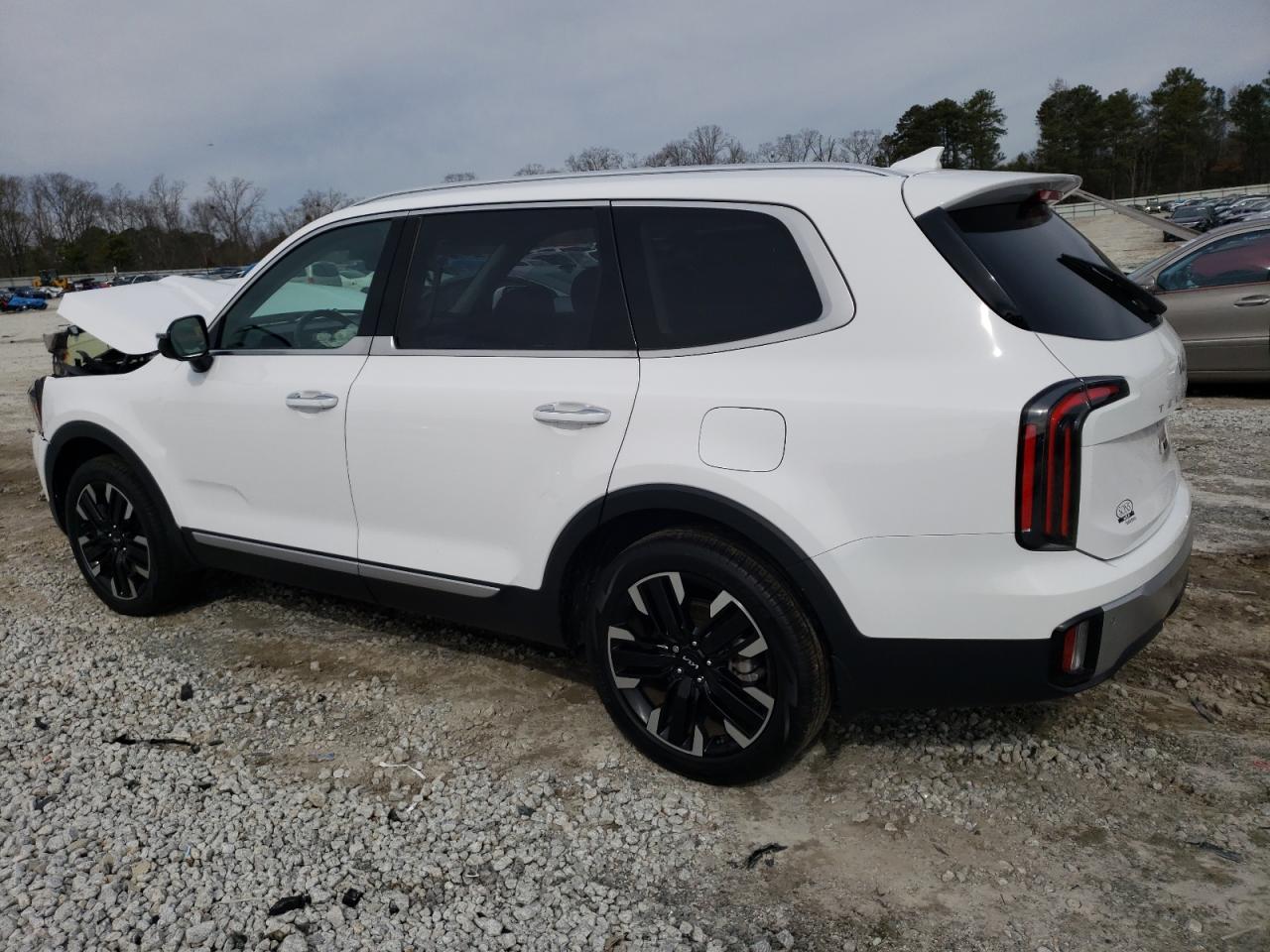 2023 KIA TELLURIDE SX VIN:5XYP54GC6PG374415