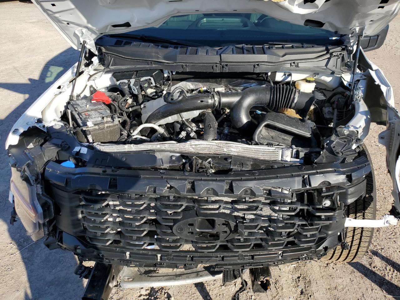2024 FORD F150 STX VIN:1FTEW2KP2RKE14473