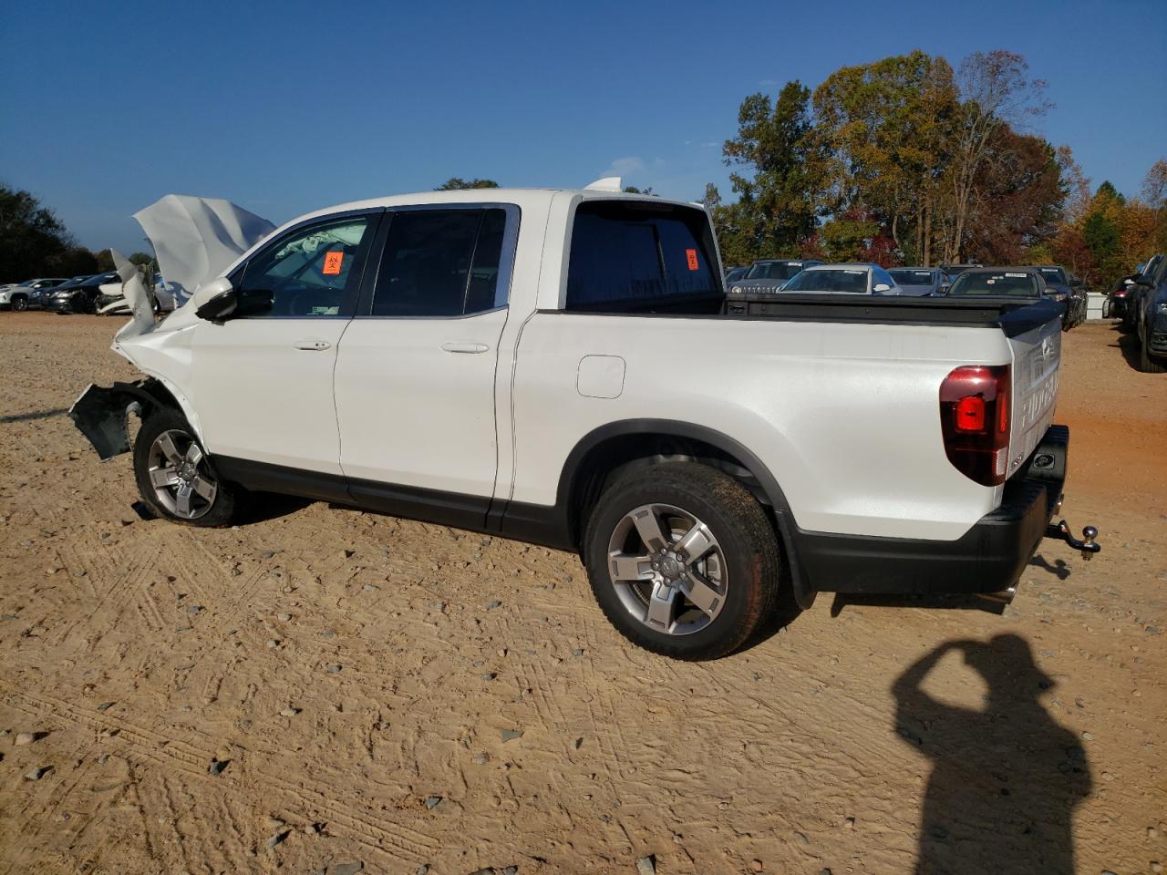 2024 HONDA RIDGELINE RTL VIN:5FPYK3F51RB008664