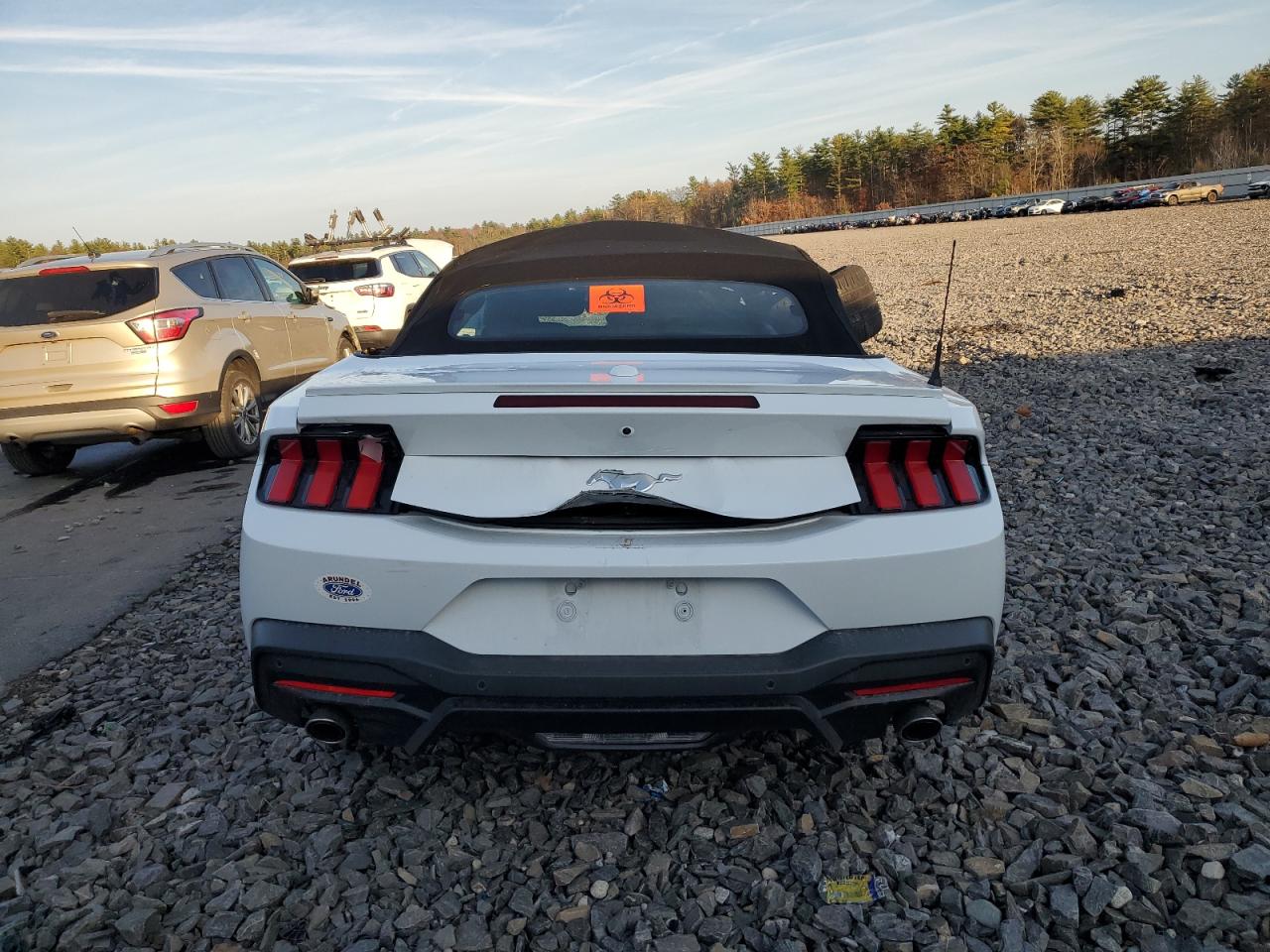 2024 FORD MUSTANG  VIN:1FAGP8UH4R5129941