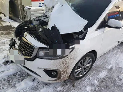 2019 Kia Carnival KNAME81ABKS487105 VIN:KNAME81ABKS487105