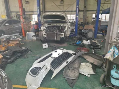2019 Kia Carnival KNAMB81ABKS502641 VIN:KNAMB81ABKS502641