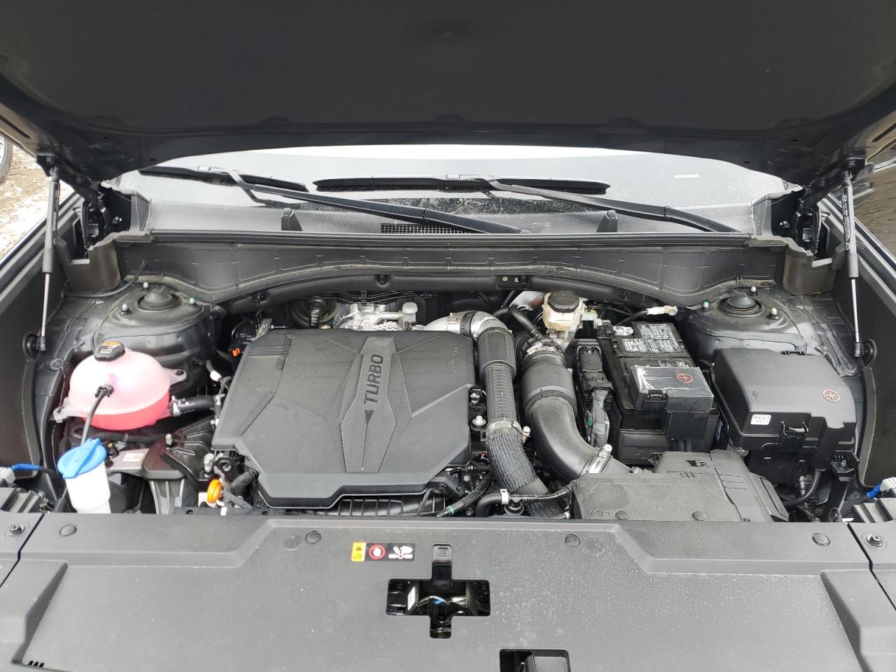 2024 HYUNDAI SANTA FE CALLIGRAPHY VIN:5NMP5DGL4RH019333