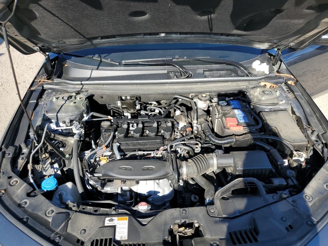 2023 HONDA ACCORD LX VIN:1HGCY1F21PA014774