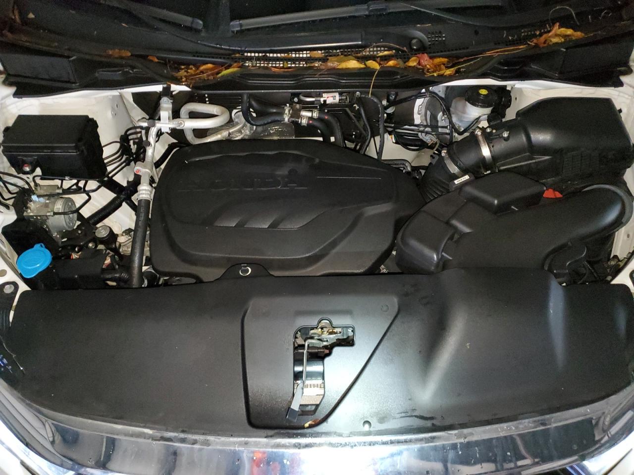 2023 HONDA ODYSSEY EXL VIN:5FNRL6H69PB010354