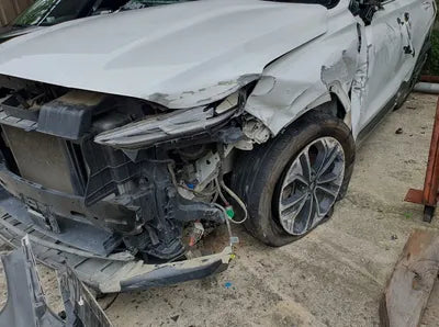 2019 Hyundai Santa FE KMHS381BBKU073201 VIN:KMHS381BBKU073201
