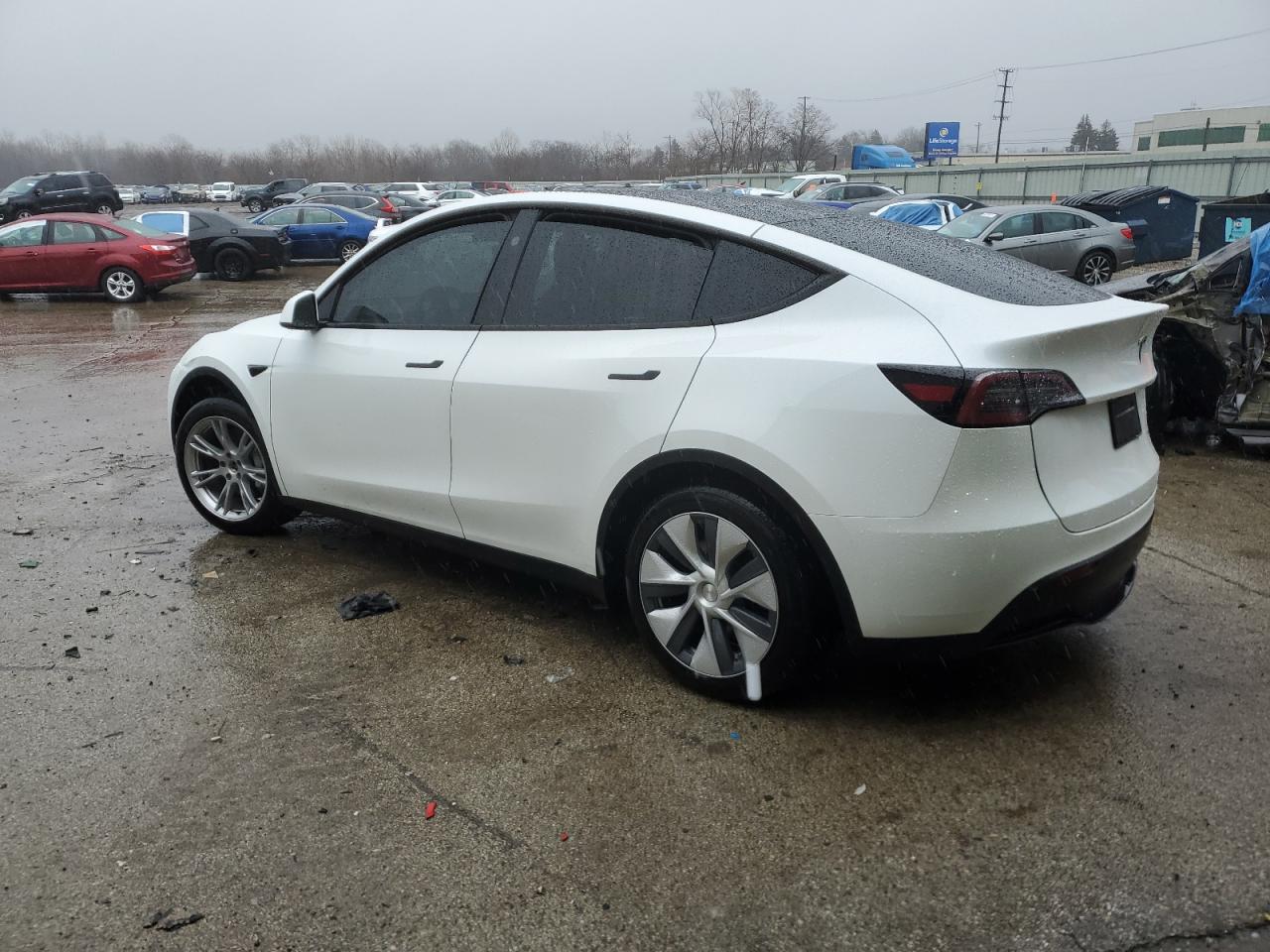 2023 TESLA MODEL Y  VIN:7SAYGDEE2PF890770