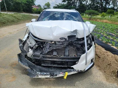 2021 Kia Carnival KNANC81BBMS004700 VIN:KNANC81BBMS004700
