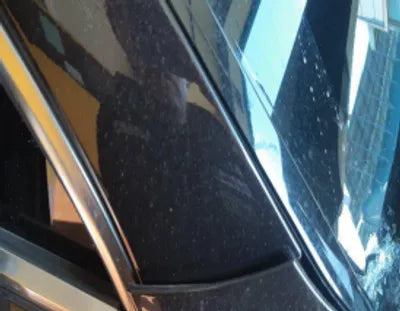2021 Kia Sorento KNARJ81BGMA025300 VIN:KNARJ81BGMA025300