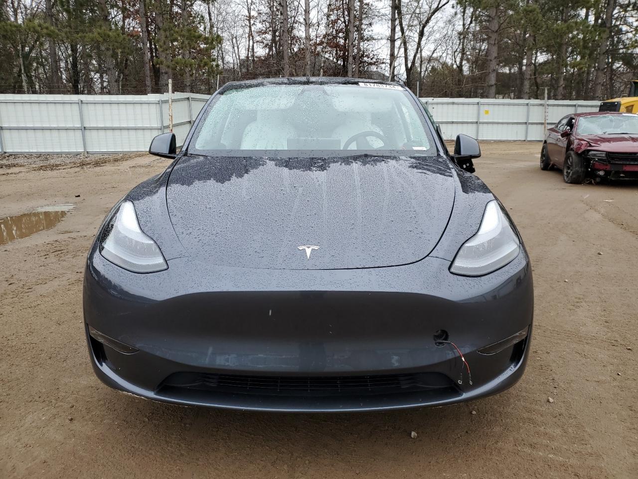 2023 TESLA MODEL Y  VIN:7SAYGDEF1PF865044