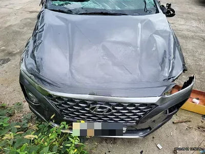 2018 Hyundai Santa FE NONE VIN: