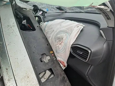 2020 Hyundai Santa FE KMHS281BBLU239686 VIN:KMHS281BBLU239686