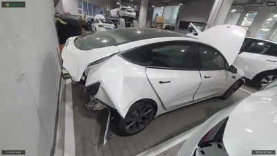 2021 Tesla Model 3 5YJ3E1EB6MF952281 VIN:5YJ3E1EB6MF952281