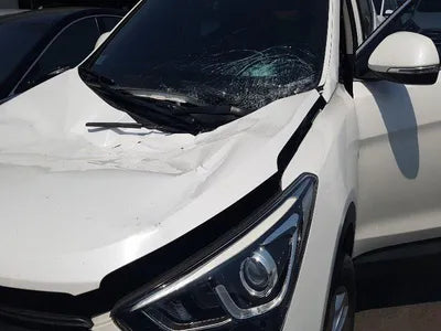 2016 Hyundai Santa FE KMHSW81UBGU635539 VIN:KMHSW81UBGU635539