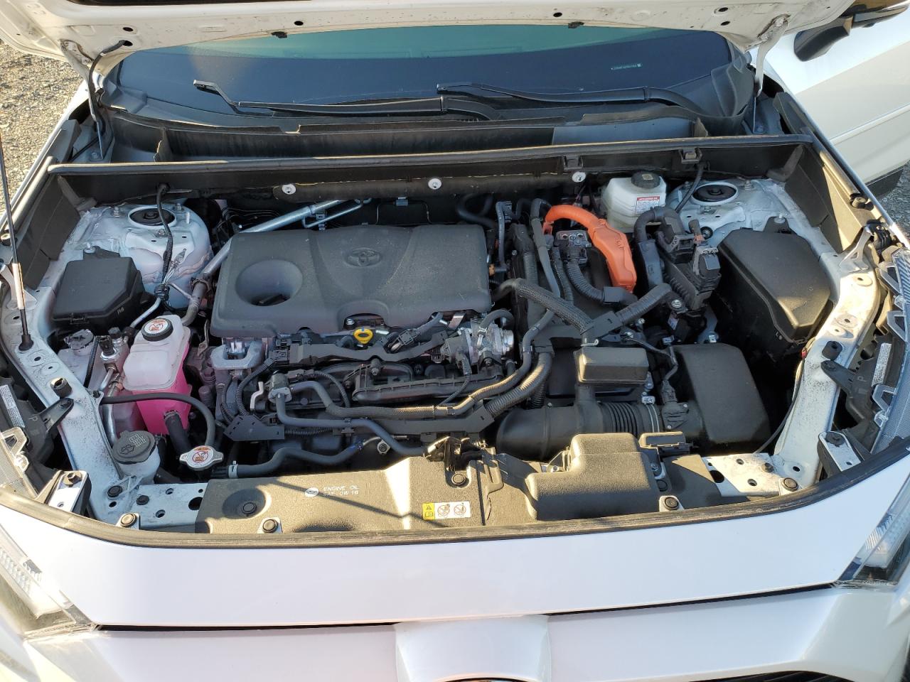 2024 TOYOTA RAV4 XSE VIN:JTME6RFV2RD561964