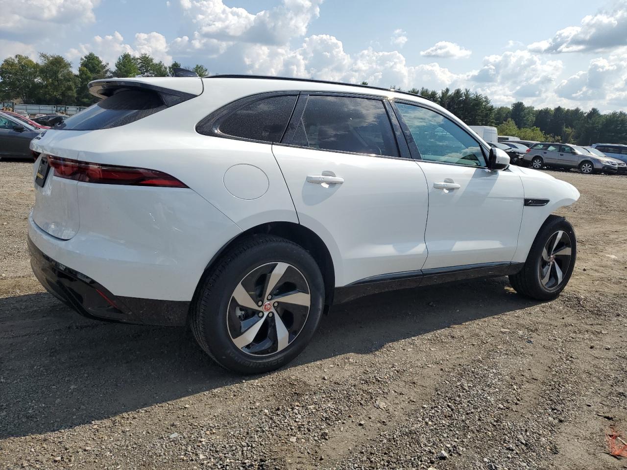 2023 JAGUAR F-PACE S VIN:SADCJ2EXXPA709832