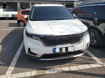 2022 Kia Carnival KNANE81BBNS166263 VIN:KNANE81BBNS166263