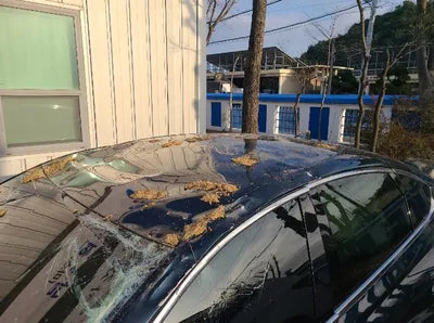 2020 Genesis G80 VIN: