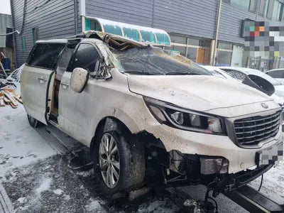 2019 Kia Carnival 115KMKNAME81ABKS5 VIN:115KMKNAME81ABKS5