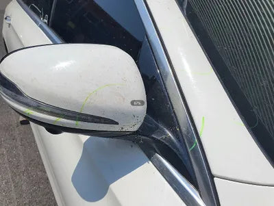 2019 Mercedes-Benz E 300 WDDZF4KB5KA672196 VIN:WDDZF4KB5KA672196