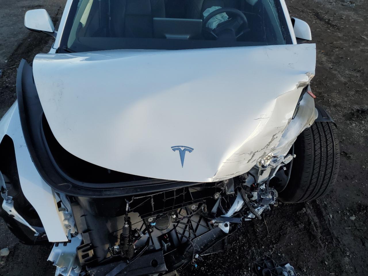 2023 TESLA MODEL 3  VIN:5YJ3E1EB5PF631644