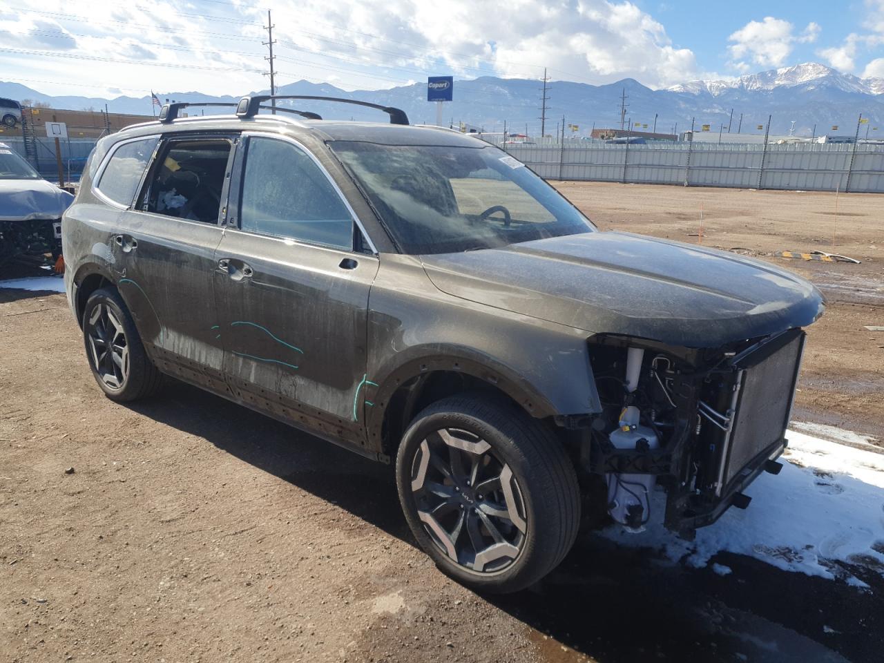 2024 KIA TELLURIDE S VIN:5XYP6DGC8RG482034
