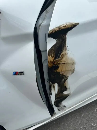 2018 BMW 118 WBA1S5103JV995286 VIN:WBA1S5103JV995286