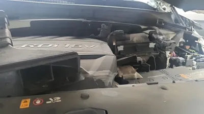 2020 Kia Sorento KNAPH81BDLA635607 VIN:KNAPH81BDLA635607