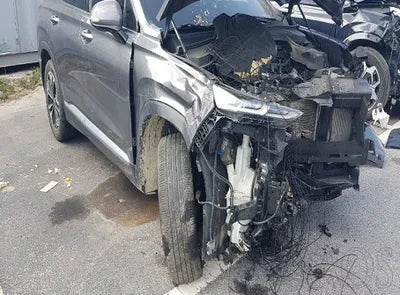 2020 Hyundai Santa FE KMHS281CDLU252464 VIN:KMHS281CDLU252464