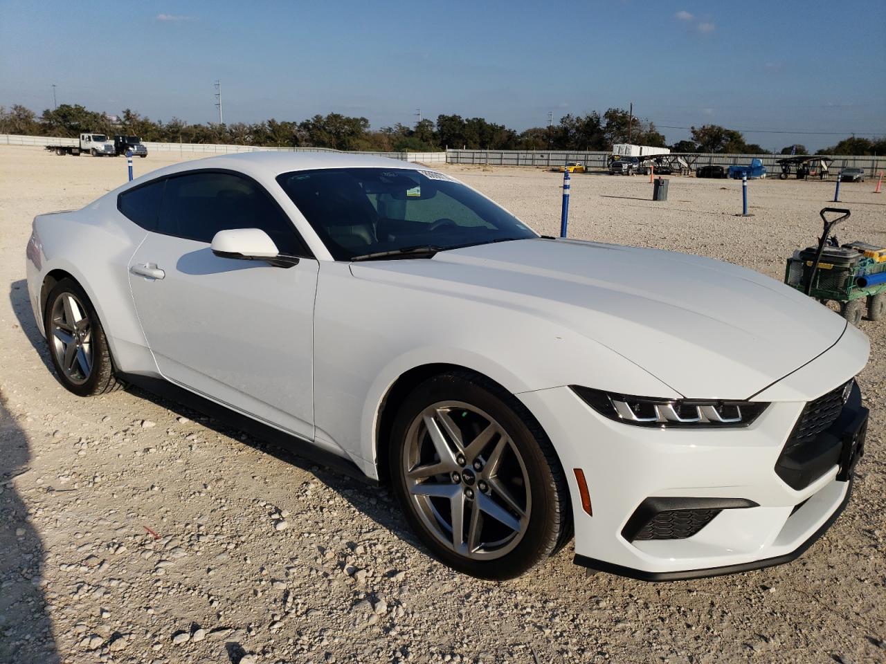 2024 FORD MUSTANG  VIN:1FA6P8TH7R5118686