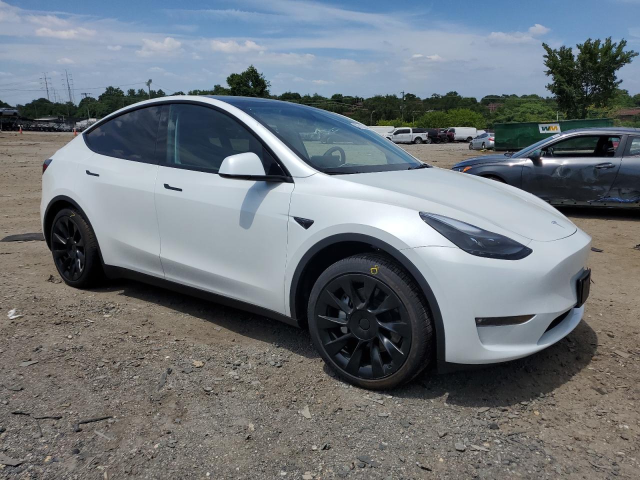 2023 TESLA MODEL Y  VIN:7SAYGAEE3PF947248