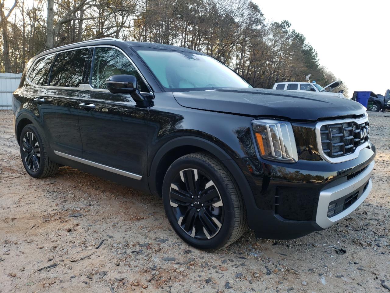 2024 KIA TELLURIDE SX VIN:5XYP5DGC9RG430205