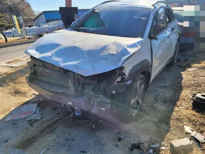 2019 Hyundai Kona KMHK4815GKU400826 VIN:KMHK4815GKU400826