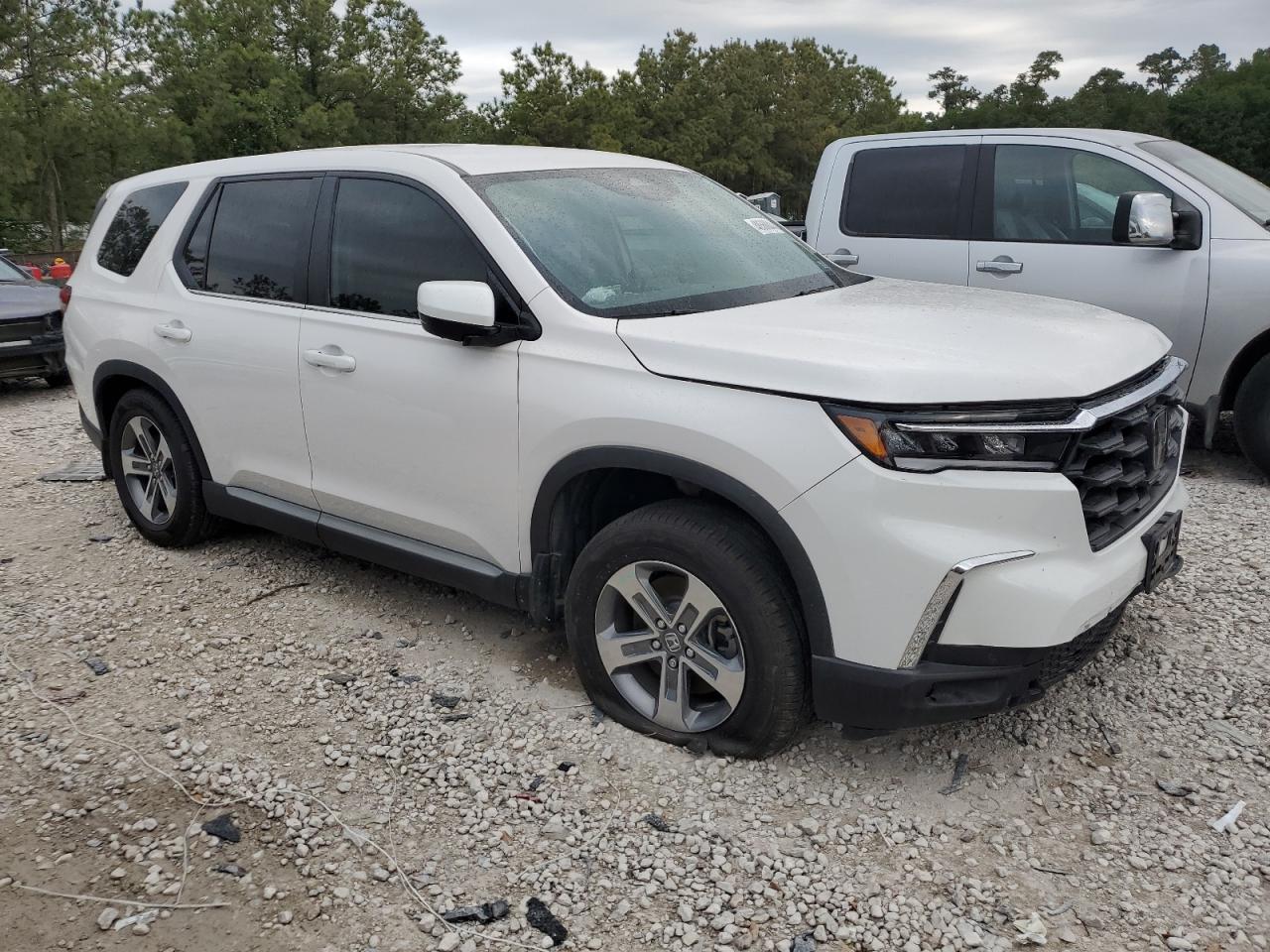 2023 HONDA PILOT EXL VIN:5FNYG2H55PB006348