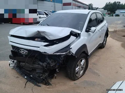 2020 Hyundai Kona KMHK4815GLU608326 VIN:KMHK4815GLU608326