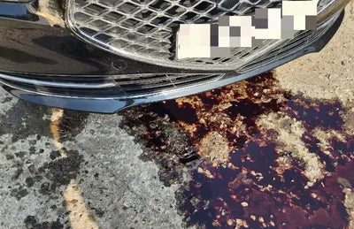 2019 Genesis G90 VIN: