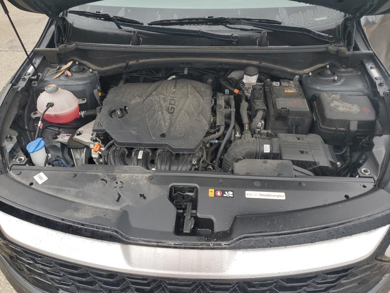 2023 KIA SPORTAGE EX VIN:KNDPV3AFXP7103965