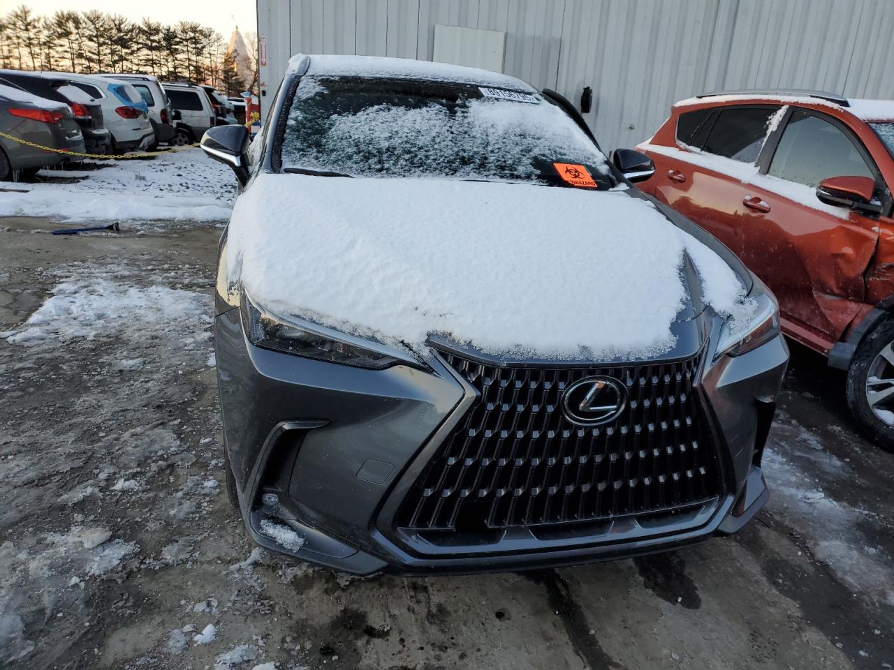 2024 LEXUS NX 350 BASE VIN:2T2AGCEZ9RC057644