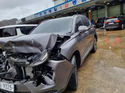 2019 Hyundai Santa FE KMHS381CBKU124651 VIN:KMHS381CBKU124651