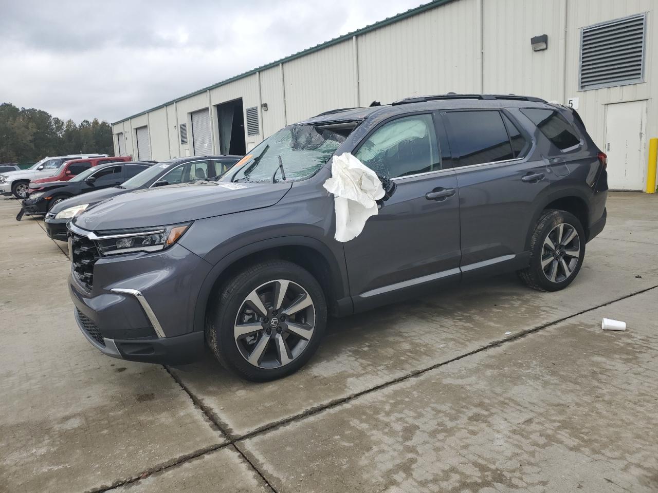 2024 HONDA PILOT ELITE VIN:5FNYG1H81RB004233